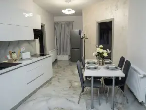 Charming 3-bedroom apartment with WiFi, AC in lovely Lugoj