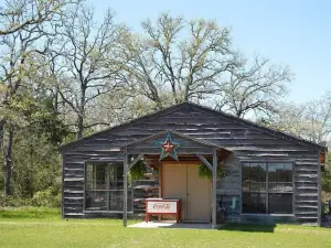 Night Bird Ranch