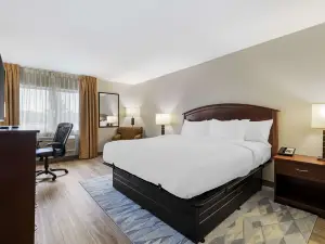 Comfort Inn