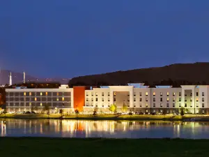 Hampton Inn & Suites Huntsville/Research Park Area