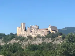 Le camélia