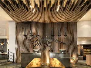 Tru by Hilton Saltillo