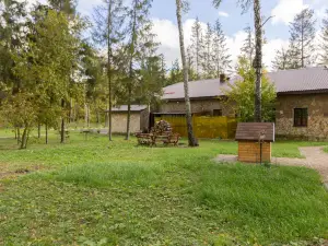 Oasis in Forest