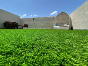 Elite House