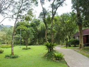 Hemerocerite Forest Countryside Bed and Breakfast