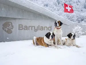 Hôtel Borsari, a Member of Design Hotels