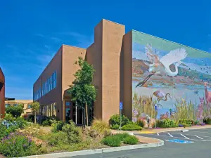 DoubleTree by Hilton Hotel & Spa Napa Valley - American Canyon