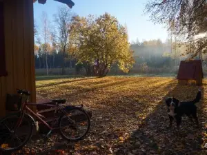 Nedsaja metsamaja ja saun