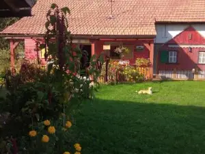 Dravski Raj