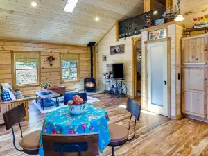 Conifer Log Cabin Rental w/ Private Hot Tub & Pond