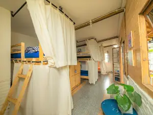 Happy House Bnb Bromo Backpacker