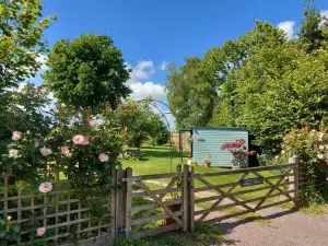 Hopgarden Glamping Luxury Shepherds Huts