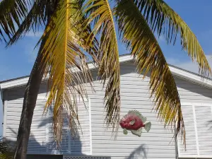 Dock, Htd 80' Pool, Deep Channel, 15 Min To Key West