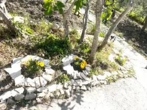 Villetta con Oliveto CFG