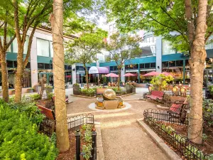Hotel Providence, Trademark Collection by Wyndham