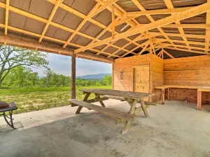 Updated Studio Cabin in Ozark with Yard and Mtn View