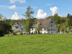 Flat with Private Pool in Sauerland