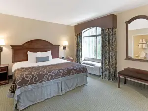 Wingate by Wyndham Charleston University Boulevard