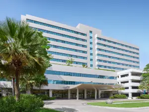 เช็นทารา ไลฟ์