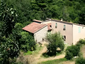 Hôtel - Pub le Petit Bosquet