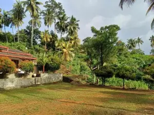 Sinharaja Villa