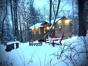 Perfect Benezette Cabin Nestled in Winter Woods. Close, Convenient and Cuddly..