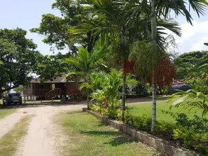 Ocho Rios Villa at Coolshade V