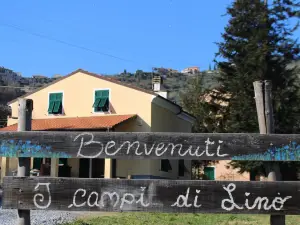 I Campi di Lino