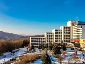 Ahorn Berghotel Friedrichroda