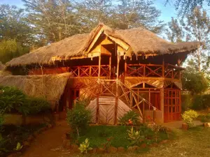 Amboseli Eco Camp
