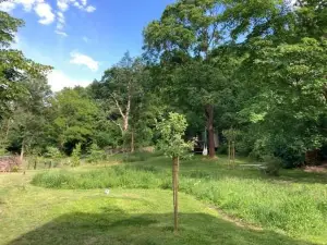 Very Nice Villa in Rødby