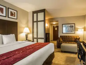 Comfort Suites Lake Norman - Huntersville