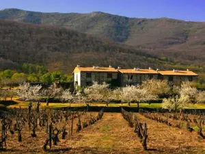 El Canchal de la Gallina - Parking Gratis - Jacuzzi en Privado - Cafeteria - Desayunos - Piscina