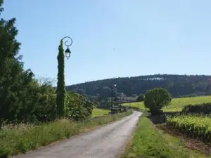 Escapade Bourguignonne