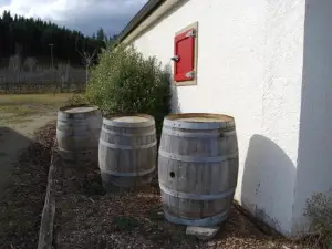 Judge Rock Exclusive Vineyard Cottage Accommodation