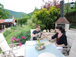 Ferienwohnung Panorama