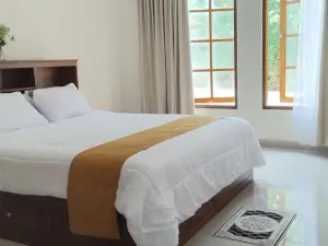 Amini Guest House
