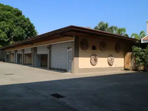 Casa Palmera Tourist Inn