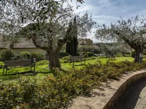 โรงแรมวิลล่า ปาราดิโซ