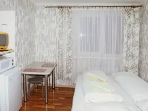 Apartment Leningradskaya 5