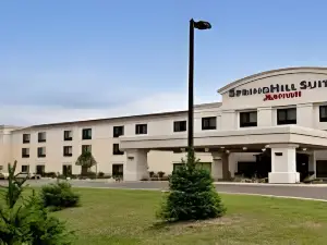 SpringHill Suites Grand Rapids Airport Southeast