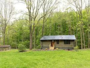 Secluded Naples Cabin w/ Deck & Stream Views