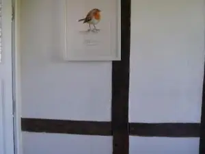 Jedermanns Nest