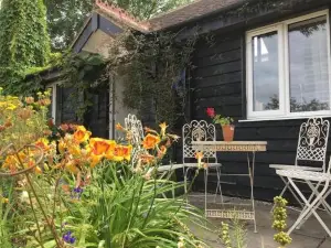 Willow Cottage in Idyllic Location