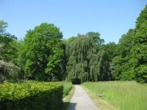 Altstadtapartment Haldensleben