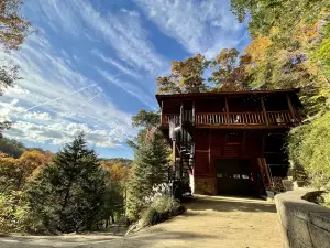 Tree House Treasure ~ Rare Find ~