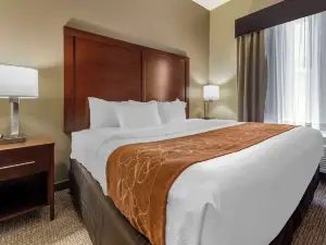 Comfort Suites Bridgeport - Clarksburg