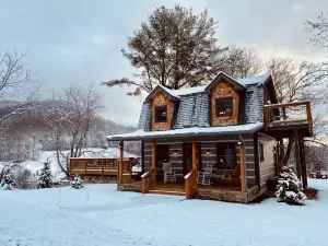 Quiet Cabin on 4 Dog Friendly Acres