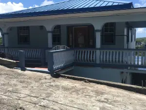 NY's Apartments