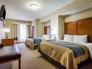 Comfort Inn & Suites Deadwood